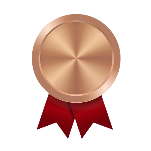 bronze medal
