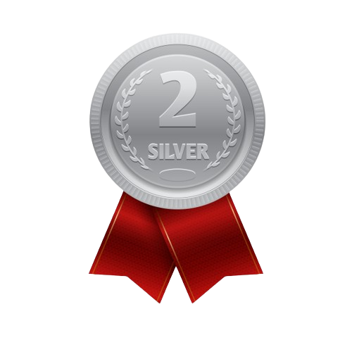 silver medal